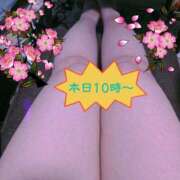 ヒメ日記 2026/02/26 08:31 投稿 長岡彩香 こあくまな熟女たち 大塚店(KOAKUMAグループ)