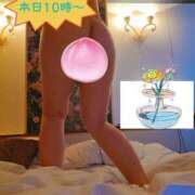 ヒメ日記 2026/04/24 07:38 投稿 長岡彩香 こあくまな熟女たち 大塚店(KOAKUMAグループ)