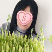 ヒメ日記 2026/02/20 10:10 投稿 しょうこ 性腺熟女100％鶯谷（デリヘル市場）