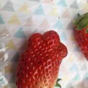 ヒメ日記 2026/02/13 02:06 投稿 斉藤 小雪 こあくまな熟女たち 京都店(KOAKUMAグループ)