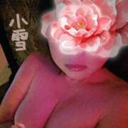 ヒメ日記 2026/03/14 01:03 投稿 斉藤 小雪 こあくまな熟女たち 京都店(KOAKUMAグループ)