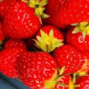 ヒメ日記 2026/04/09 10:07 投稿 斉藤 小雪 こあくまな熟女たち 京都店(KOAKUMAグループ)