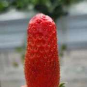 ヒメ日記 2026/04/10 09:10 投稿 斉藤 小雪 こあくまな熟女たち 京都店(KOAKUMAグループ)