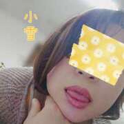 ヒメ日記 2026/04/11 00:56 投稿 斉藤 小雪 こあくまな熟女たち 京都店(KOAKUMAグループ)