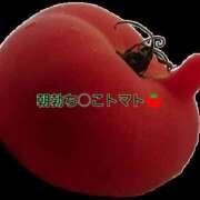 ヒメ日記 2026/04/13 11:05 投稿 斉藤 小雪 こあくまな熟女たち 京都店(KOAKUMAグループ)