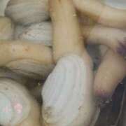 斉藤 小雪 おはよーございます こあくまな熟女たち 京都店(KOAKUMAグループ)