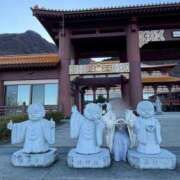 ヒメ日記 2025/12/10 05:41 投稿 みにぃ 若葉