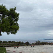 ヒメ日記 2025/12/16 06:52 投稿 よしの ハピネス東京