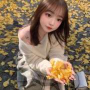 レナ はじめましてーっ🐶⭐️ ピカソ