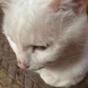 ひびき おはよう！☀️朝から考え事… 手こき＆オナクラ 大阪はまちゃん