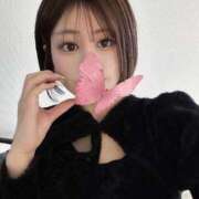 ヒメ日記 2025/12/18 14:50 投稿 りん My Essentials