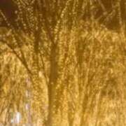 ヒメ日記 2025/12/19 20:04 投稿 てら しろわい 仙台店