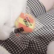 ちま おせんべい 神田ハンドメイド