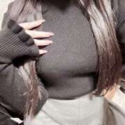 ヒメ日記 2025/12/11 15:27 投稿 ちま 神田ハンドメイド