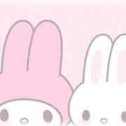 ヒメ日記 2025/12/14 14:20 投稿 ちま 神田ハンドメイド