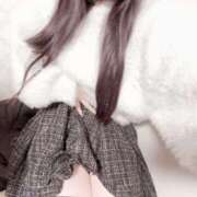 ヒメ日記 2025/12/19 12:46 投稿 ちま 神田ハンドメイド