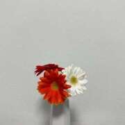 ヒメ日記 2025/12/10 16:14 投稿 綾瀬うい ゴシップガール～淑女不倫～