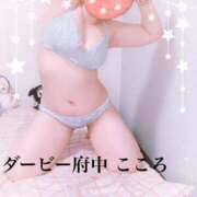 ヒメ日記 2026/03/29 14:48 投稿 こころ 府中ダービー