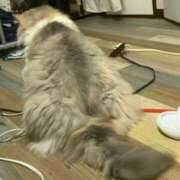 ヒメ日記 2026/07/13 20:48 投稿 こころ 府中ダービー