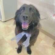 ヒメ日記 2026/01/22 14:02 投稿 ないき スピードエコ難波店