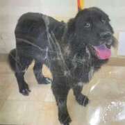 ヒメ日記 2026/01/22 22:57 投稿 ないき スピードエコ難波店