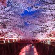 ヒメ日記 2026/03/16 11:14 投稿 さり CLUB DEEP