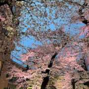 ヒメ日記 2026/04/08 13:13 投稿 ことみ 上野　御徒町オトナのハンドメイド