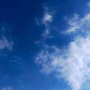 ヒメ日記 2026/02/16 11:29 投稿 しのぶ 渋谷蘭の会