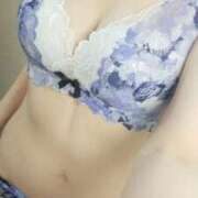 ヒメ日記 2026/02/17 13:15 投稿 しのぶ 渋谷蘭の会