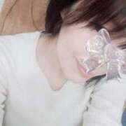 ヒメ日記 2026/02/24 15:55 投稿 しのぶ 渋谷蘭の会