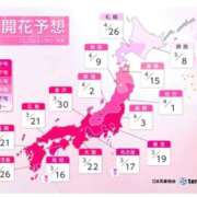 ヒメ日記 2026/03/23 12:05 投稿 しのぶ 渋谷蘭の会