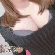 いろは 出勤してます🐻 buzz-B