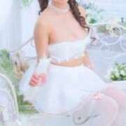 ヒメ日記 2025/12/17 20:02 投稿 あおい ロイヤル土佐