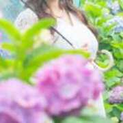 ヒメ日記 2025/12/24 23:45 投稿 あおい ロイヤル土佐