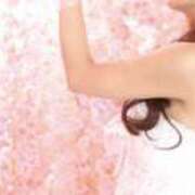 ヒメ日記 2026/03/06 14:08 投稿 あおい ロイヤル土佐