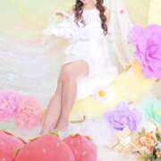 ヒメ日記 2026/04/09 17:02 投稿 あおい ロイヤル土佐