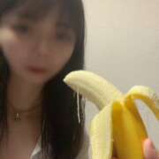 ヒメ日記 2025/12/09 11:53 投稿 柚乃-Yuno- 姉新地