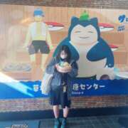 ヒメ日記 2025/12/08 17:47 投稿 さくら パイの巣