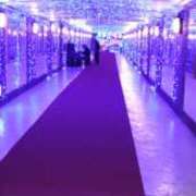 ヒメ日記 2025/12/09 18:06 投稿 さくら パイの巣