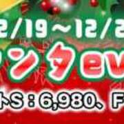 ヒメ日記 2025/12/20 21:05 投稿 さくら パイの巣