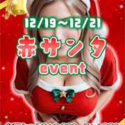 ヒメ日記 2025/12/21 20:57 投稿 さくら パイの巣