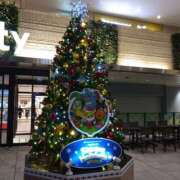 ヒメ日記 2025/12/22 21:06 投稿 さくら パイの巣