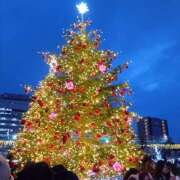 ヒメ日記 2025/12/26 20:36 投稿 さくら パイの巣