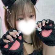 りほ 嬉しい🐈💓‪ 白いぽっちゃりさん