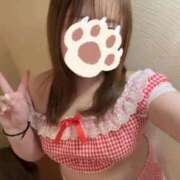 ヒメ日記 2025/12/18 15:52 投稿 りほ 白いぽっちゃりさん