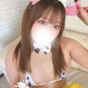 ヒメ日記 2026/01/16 13:39 投稿 りほ 白いぽっちゃりさん