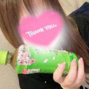 ヒメ日記 2026/02/01 16:14 投稿 りほ 白いぽっちゃりさん