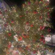 ヒメ日記 2025/12/25 18:32 投稿 いのり バタフライ立川