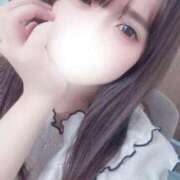 ヒメ日記 2025/12/09 03:34 投稿 ゆかり IRIS(岐阜)