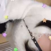 ヒメ日記 2025/12/10 13:00 投稿 ふゆ★Fカップ妹系ロリカワJD Chloe錦糸町店 S級素人清楚系デリヘル